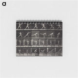 1-91_Eadweard-Muybridge_memo