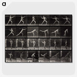 1-91_Eadweard-Muybridge_picture-crop