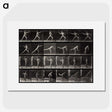 1-91_Eadweard-Muybridge_picture