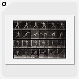 1-91_Eadweard-Muybridge_picture