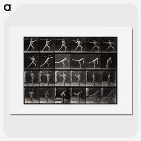 1-91_Eadweard-Muybridge_picture