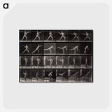 アートポストカード-Throwing a Spear
 - エドワード マイブリッジ Postcard.