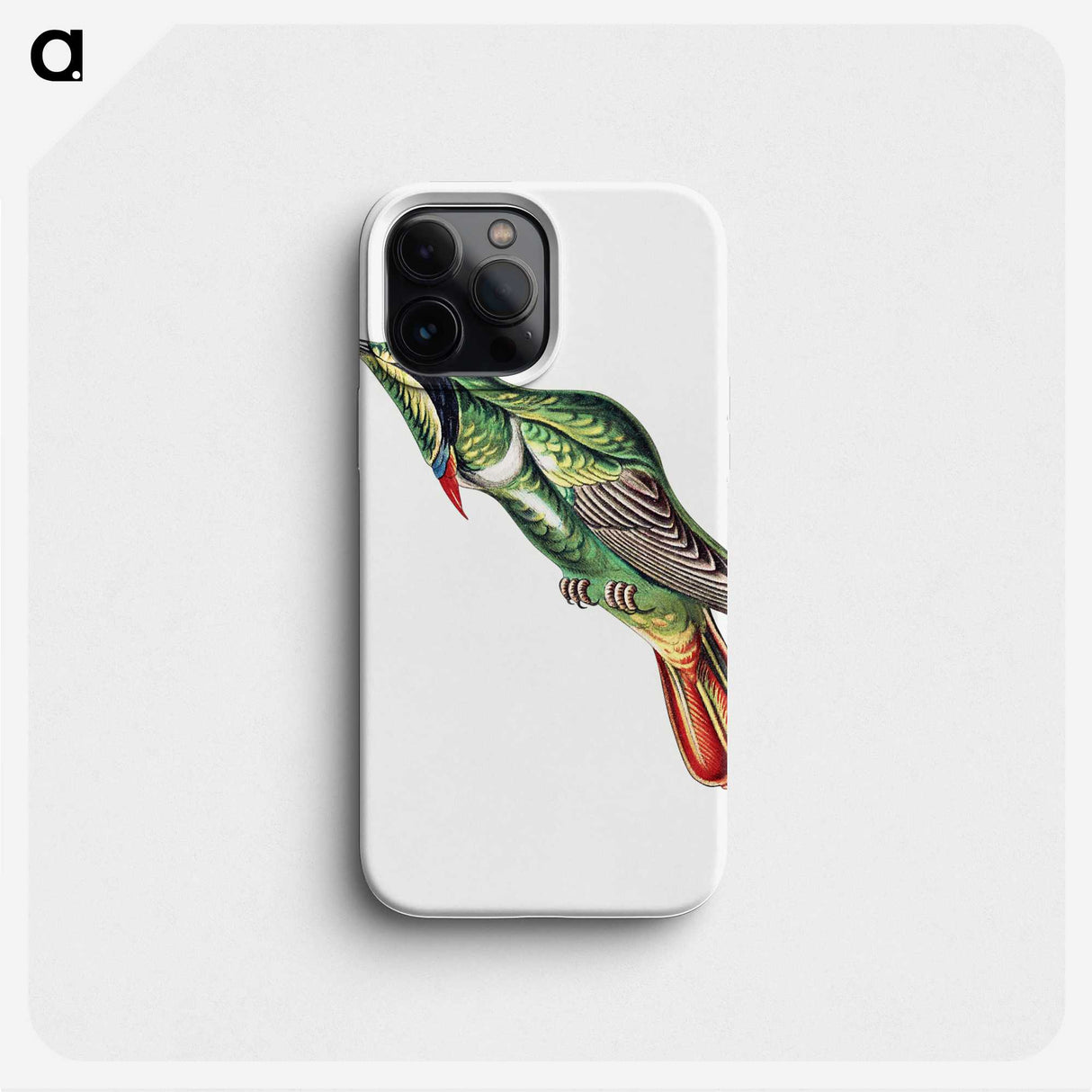 1-91_Ernst-Haeckel_phone
