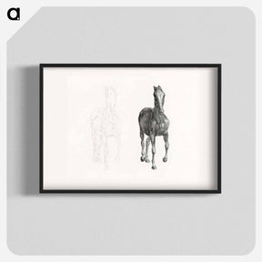アートポスター-The Anatomy of the Horse
 - ジョージ スタッブス Poster.