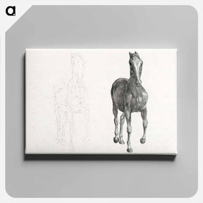 アートパネル-The Anatomy of the Horse
 - ジョージ スタッブス Canvas.