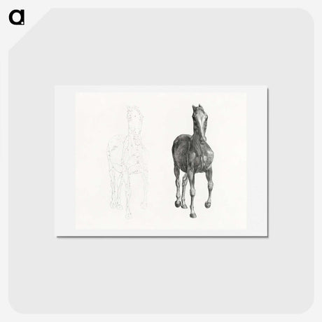 1-91_George-Stubbs_hagaki