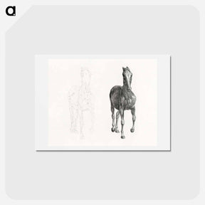 アートポストカード-The Anatomy of the Horse
 - ジョージ スタッブス Postcard.