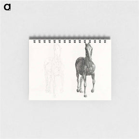 アートメモ帳-The Anatomy of the Horse
 - ジョージ スタッブス Memo.
