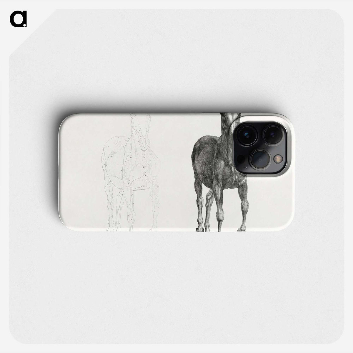 1-91_George-Stubbs_phone