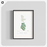 1-91_Histoire-des-Plantes-Grasses_blk