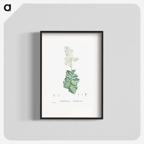 1-91_Histoire-des-Plantes-Grasses_blk