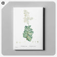 1-91_Histoire-des-Plantes-Grasses_canvas