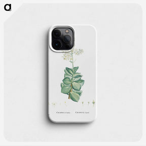 1-91_Histoire-des-Plantes-Grasses_phone