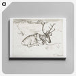 1-91_Hugo-Simberg_canvas