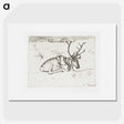 1-91_Hugo-Simberg_picture