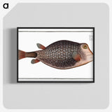 1-91_Ichtyologie-ou-Histoire-naturelle_blk-crop