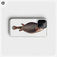1-91_Ichtyologie-ou-Histoire-naturelle_phone