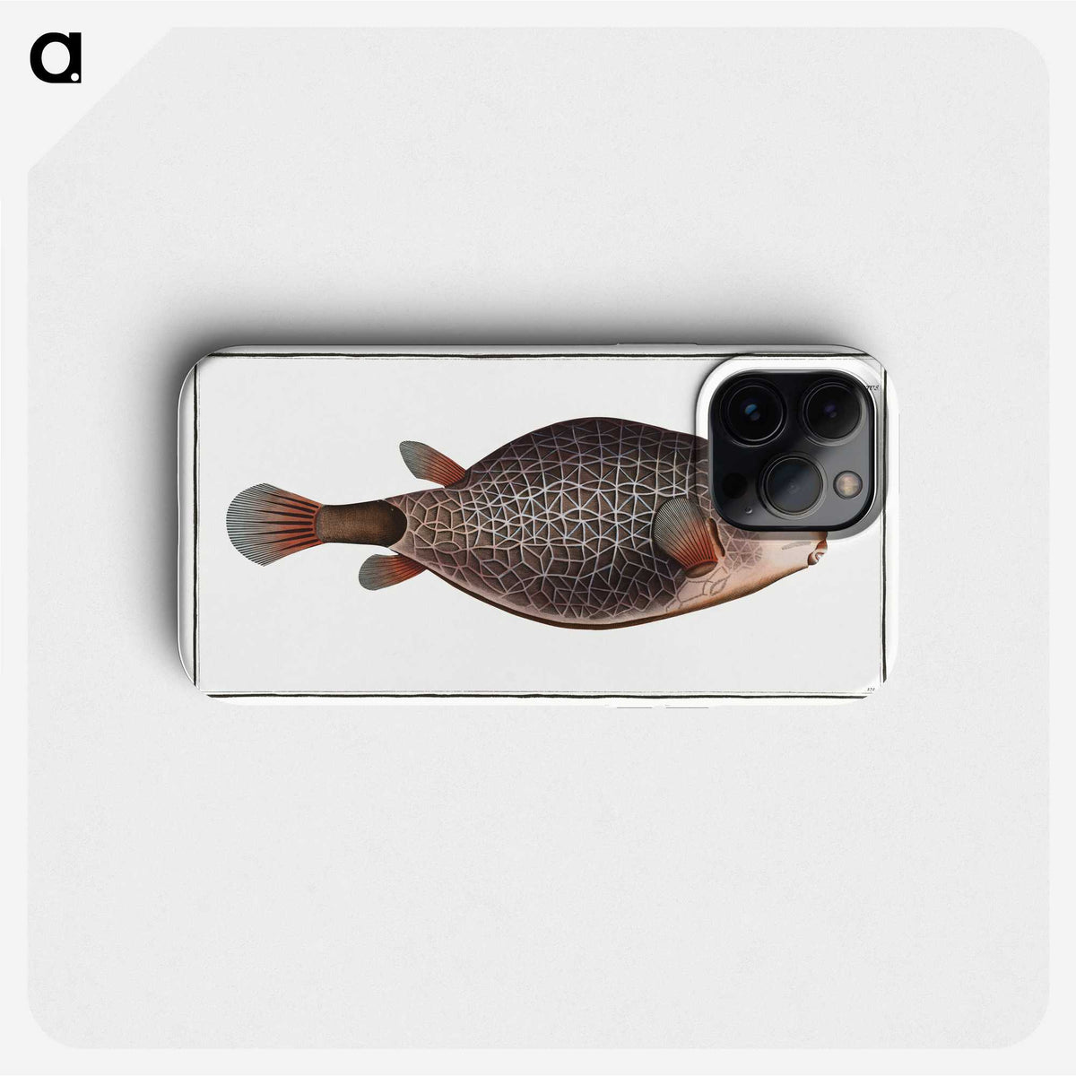 1-91_Ichtyologie-ou-Histoire-naturelle_phone
