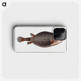 1-91_Ichtyologie-ou-Histoire-naturelle_phone