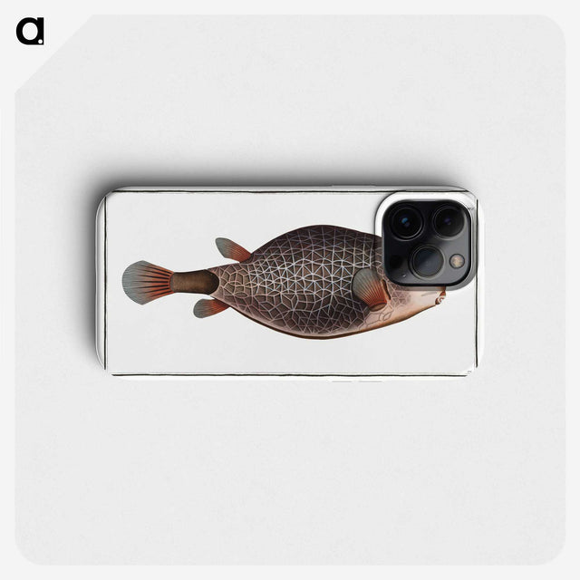 1-91_Ichtyologie-ou-Histoire-naturelle_phone