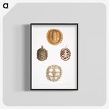 1-91_Indian-Zoology_blk-crop