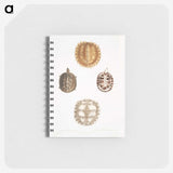 1-91_Indian-Zoology_memo