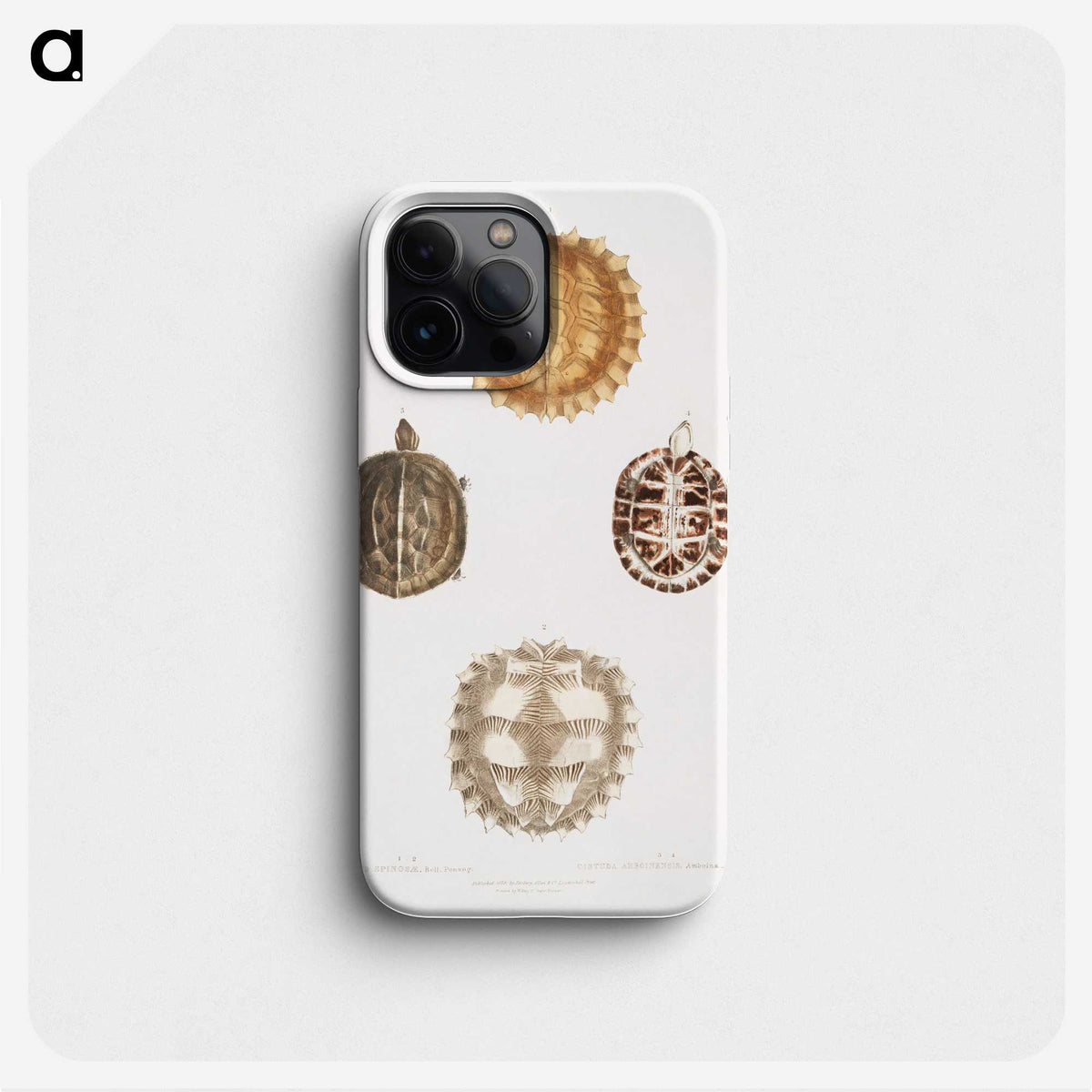 1-91_Indian-Zoology_phone