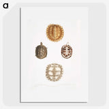 1-91_Indian-Zoology_picture