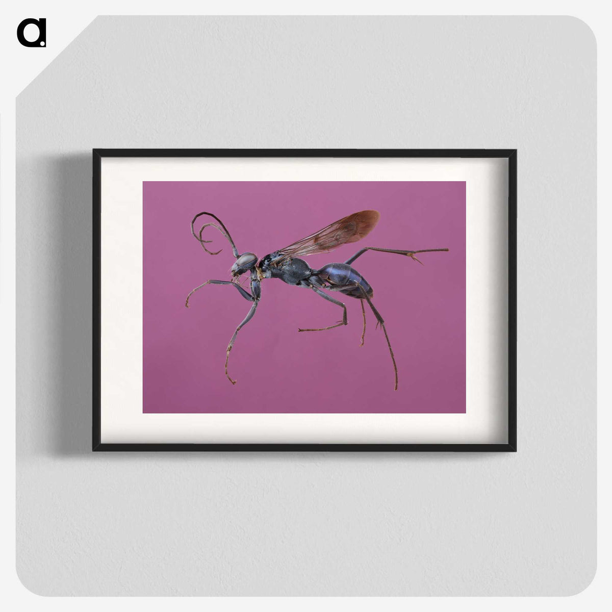 1-91_Insects-Unlocked-Project_blk