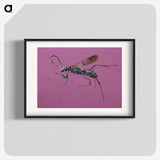1-91_Insects-Unlocked-Project_blk