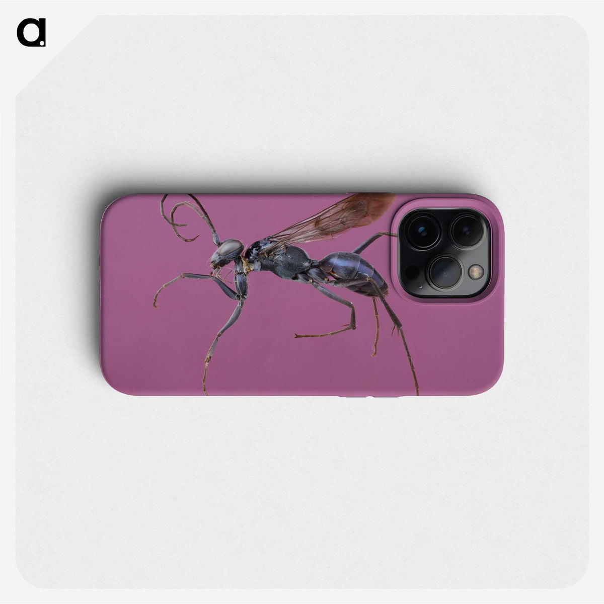1-91_Insects-Unlocked-Project_phone