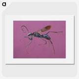 1-91_Insects-Unlocked-Project_picture