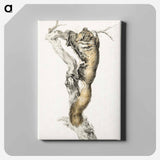 アートパネル-Flying squirrel, on a branch - ジャン ベルナール Canvas.
