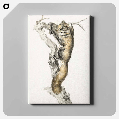 アートパネル-Flying squirrel, on a branch - ジャン ベルナール Canvas.