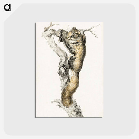 アートポストカード-Flying squirrel, on a branch - ジャン ベルナール Postcard.