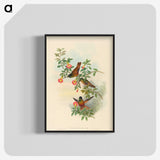 1-91_John-Gould_blk-crop