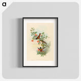 1-91_John-Gould_blk