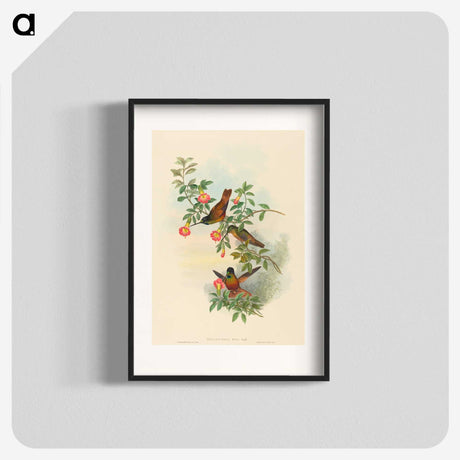 1-91_John-Gould_blk