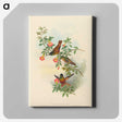 1-91_John-Gould_canvas
