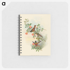 1-91_John-Gould_memo