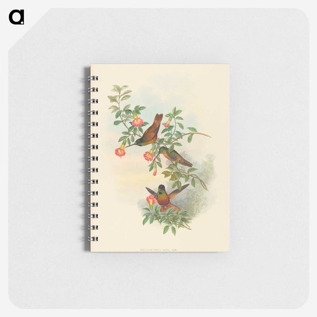 1-91_John-Gould_memo