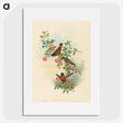 1-91_John-Gould_picture