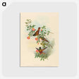 1-91_John-Gould_postcard