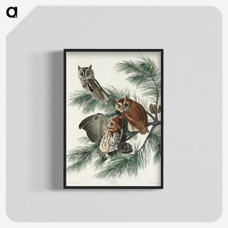 1-91_John-James-Audubon_blk-crop