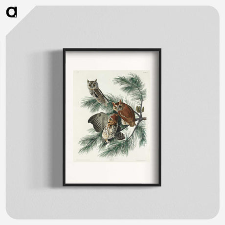 1-91_John-James-Audubon_blk