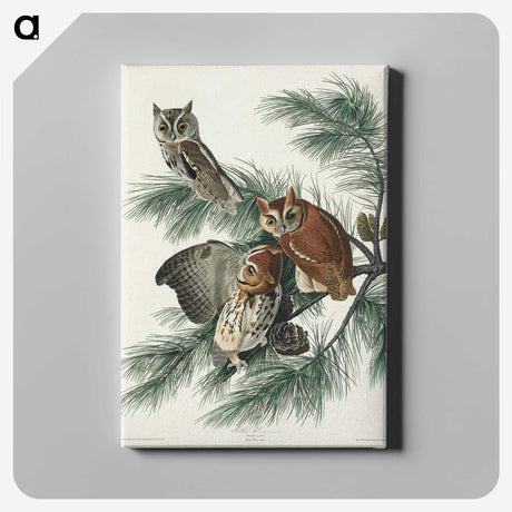 1-91_John-James-Audubon_canvas