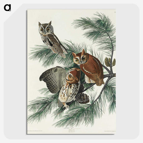 1-91_John-James-Audubon_picture-crop