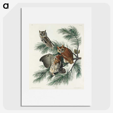 1-91_John-James-Audubon_picture