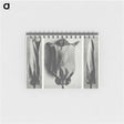 1-91_Karl-Blossfeldt_memo
