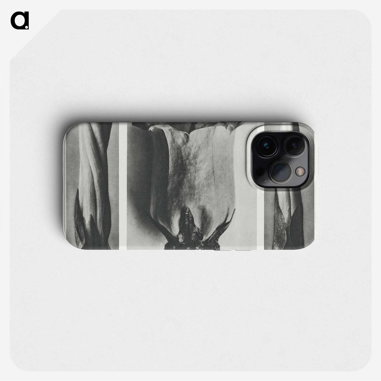 1-91_Karl-Blossfeldt_phone